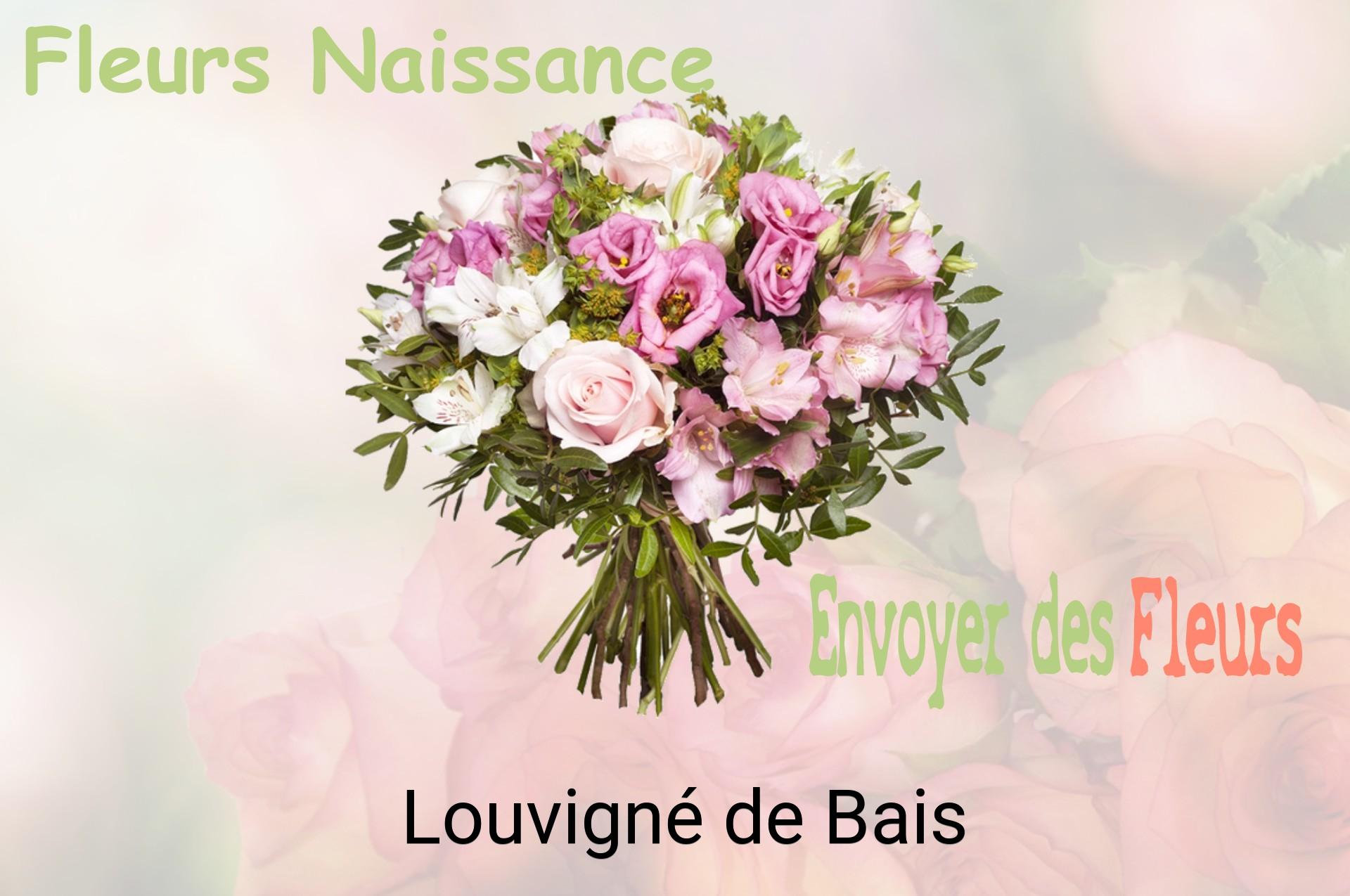 Bouquet de fleurs de naissance livré à Louvigné-de-Bais